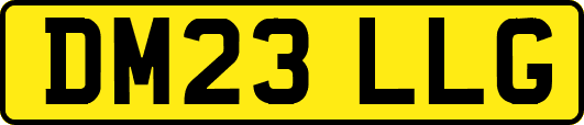 DM23LLG