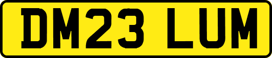 DM23LUM