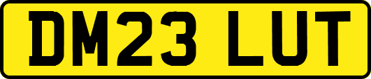 DM23LUT