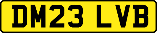 DM23LVB