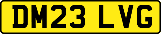 DM23LVG
