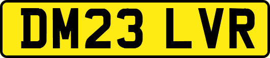DM23LVR