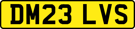 DM23LVS