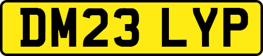 DM23LYP