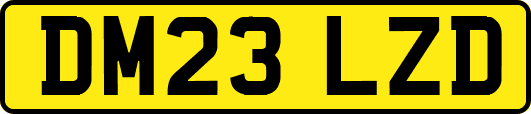 DM23LZD