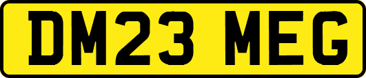 DM23MEG