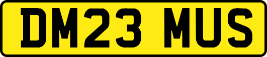 DM23MUS