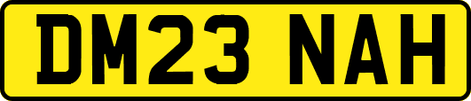 DM23NAH