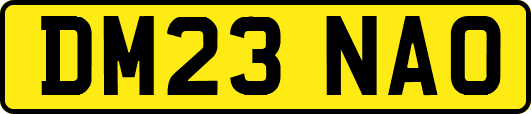 DM23NAO