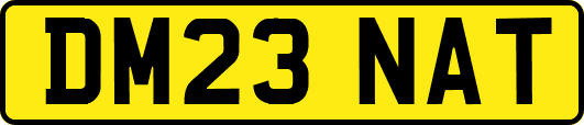 DM23NAT