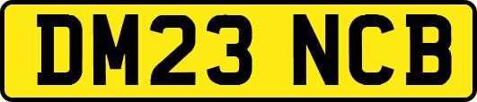 DM23NCB
