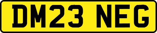 DM23NEG