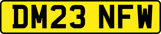 DM23NFW
