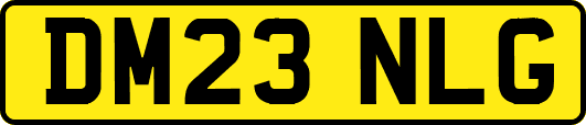 DM23NLG
