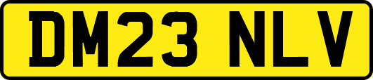 DM23NLV