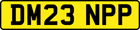 DM23NPP