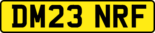 DM23NRF