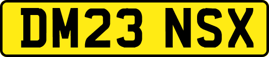 DM23NSX
