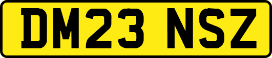 DM23NSZ