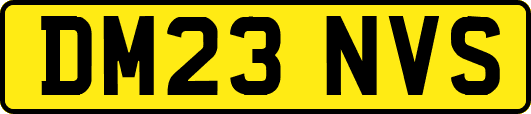 DM23NVS