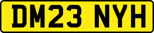 DM23NYH