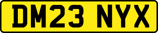 DM23NYX