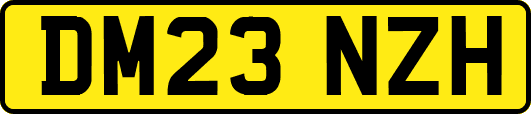 DM23NZH