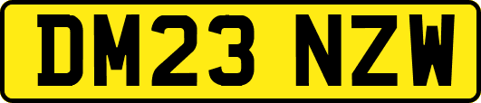DM23NZW