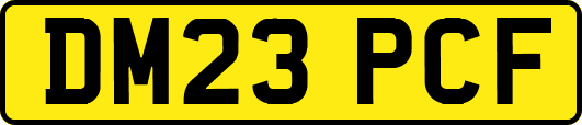 DM23PCF