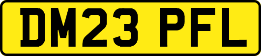 DM23PFL