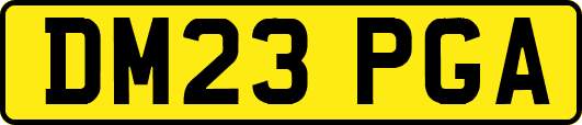 DM23PGA