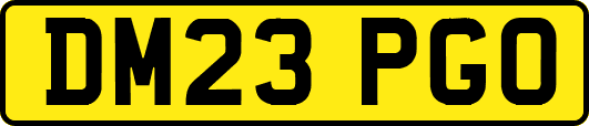 DM23PGO