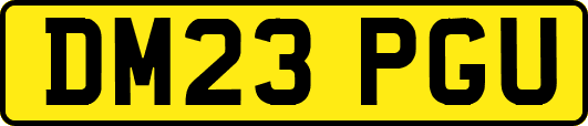 DM23PGU