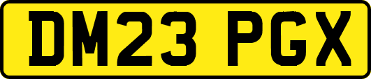 DM23PGX