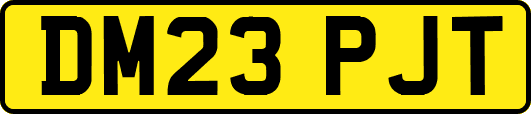 DM23PJT