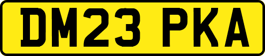 DM23PKA