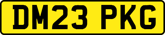 DM23PKG