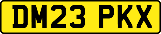 DM23PKX