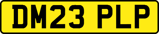 DM23PLP