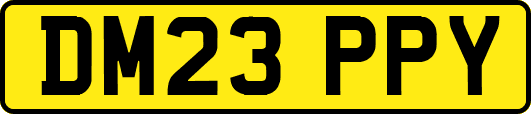 DM23PPY