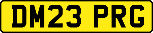 DM23PRG