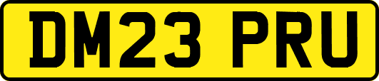DM23PRU