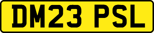 DM23PSL