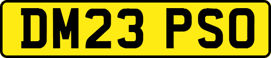 DM23PSO