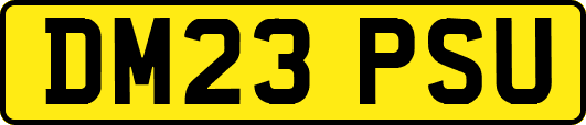 DM23PSU