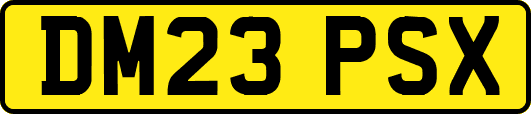 DM23PSX