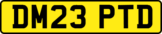 DM23PTD
