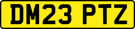 DM23PTZ