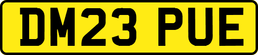 DM23PUE