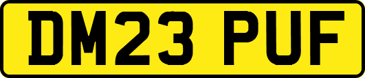 DM23PUF